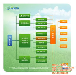 網(wǎng)絡(luò)推廣軟件與信息技術(shù)咨詢服務(wù)助力建湖企業(yè)發(fā)展