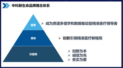 知名品牌咨詢公司行舟品牌服務(wù)模塊解析 聚焦品牌核心理念與軟件信息技術(shù)咨詢服務(wù)
